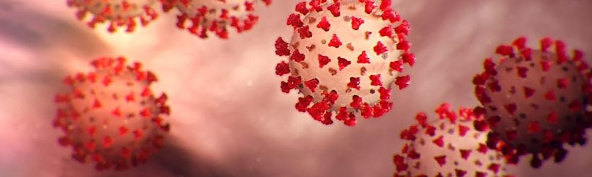 Would you return to this location for financial services in the future? McCoy Federal Credit Union, Credit Union in Orlando Area