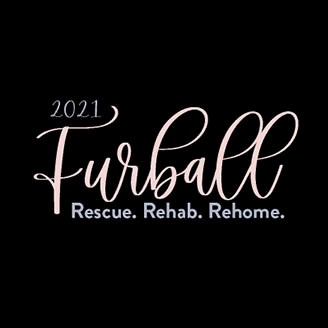 29th Annual Furball Gala