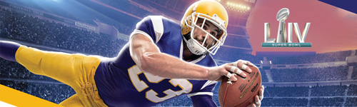 VISA 2019 NFL Header