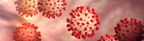 coronavirus 1 500