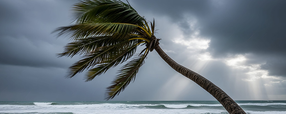 hurricane season preparation