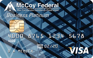 Visa BUsiness Credit Card